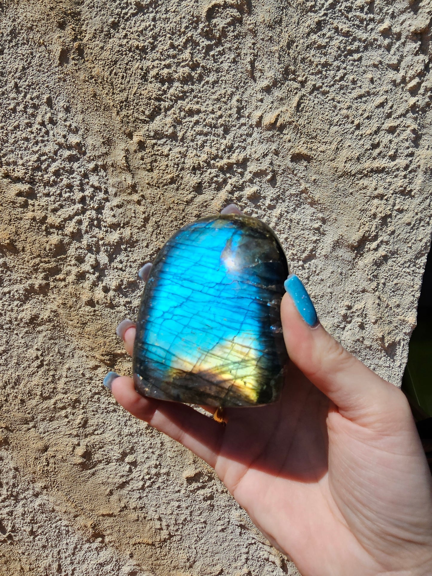 Labradorite polie " AA " 455G