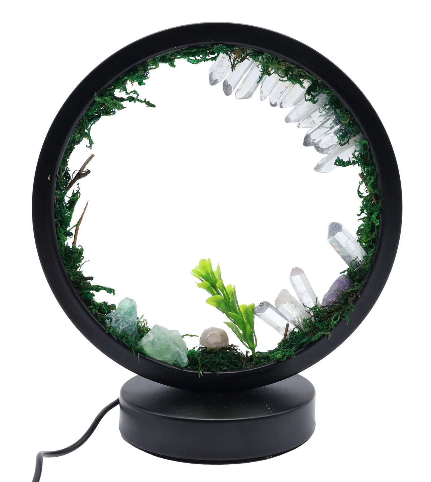 Lampe Ambiance 'Ecosystème' 22cm