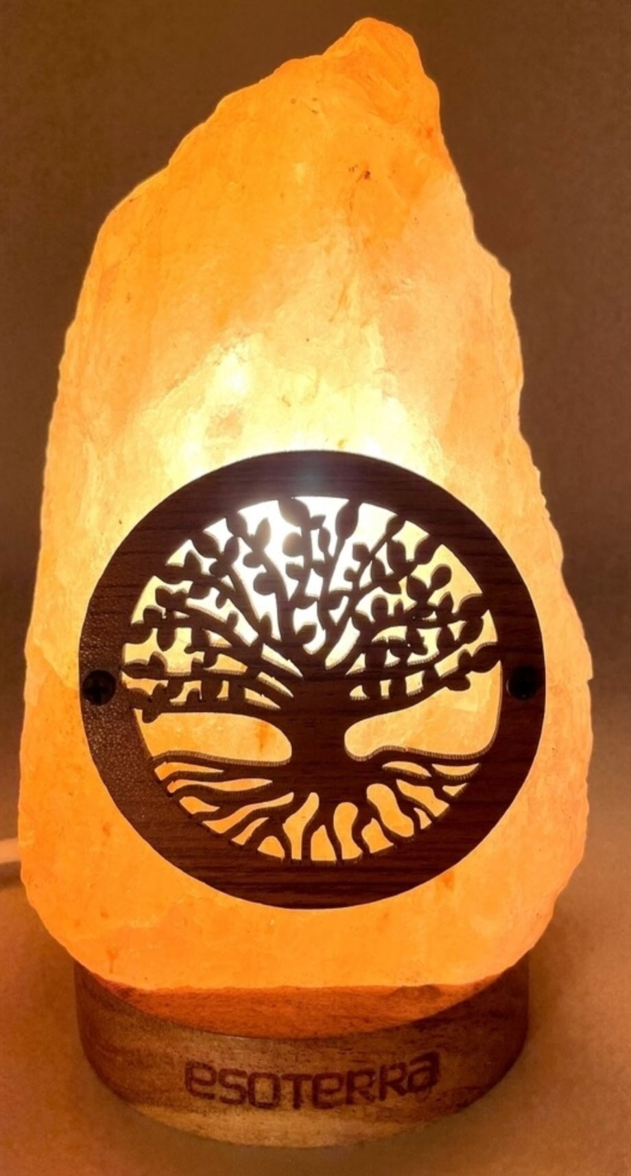 Lampe de Sel Himalaya brute Arbre de Vie 1-2KG